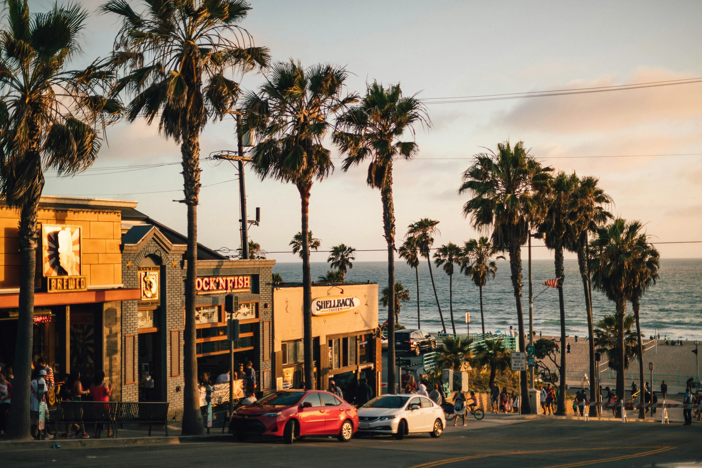 California coastal community with palms in golden evening light
